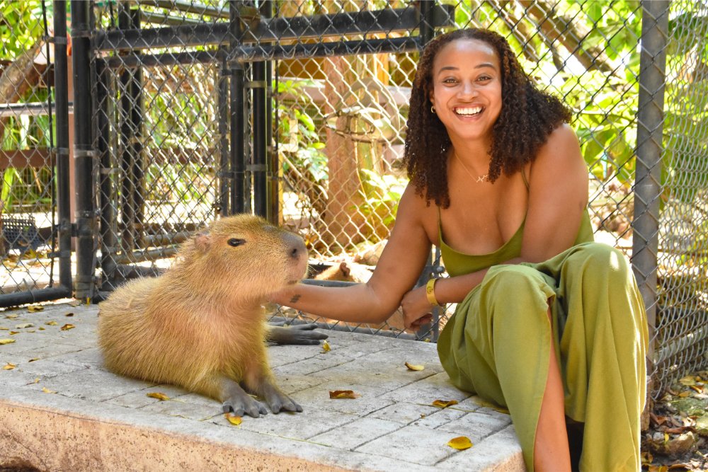 Capybara Encounter