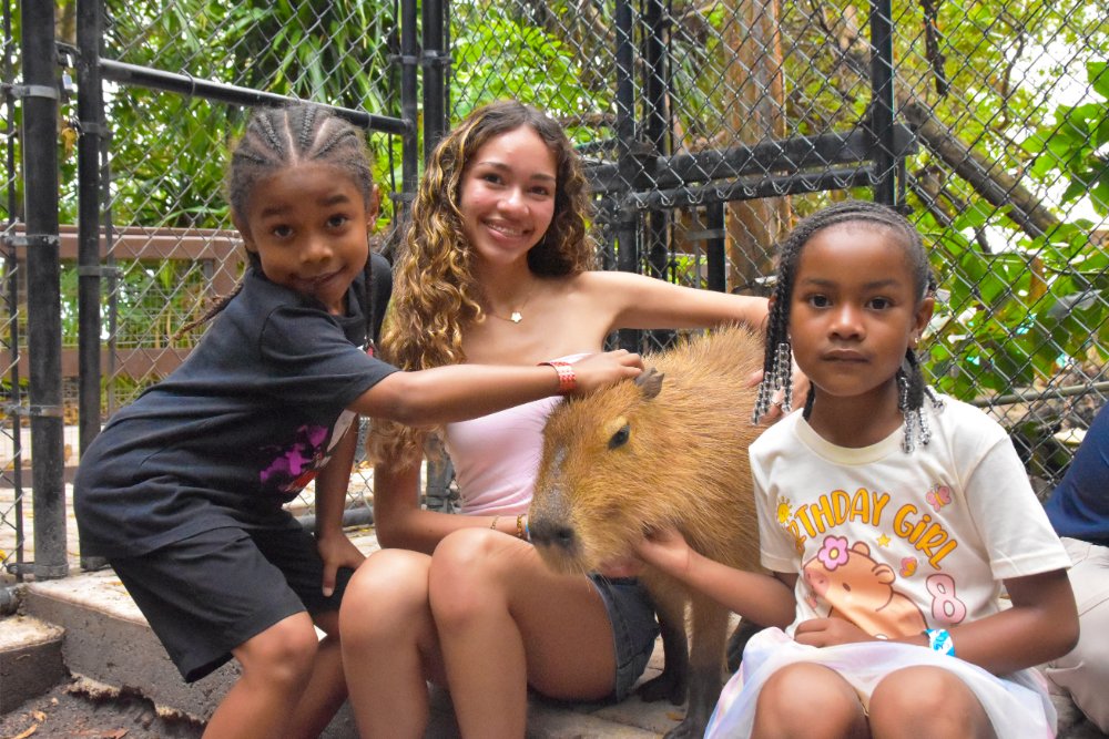 Capybara Encounter
